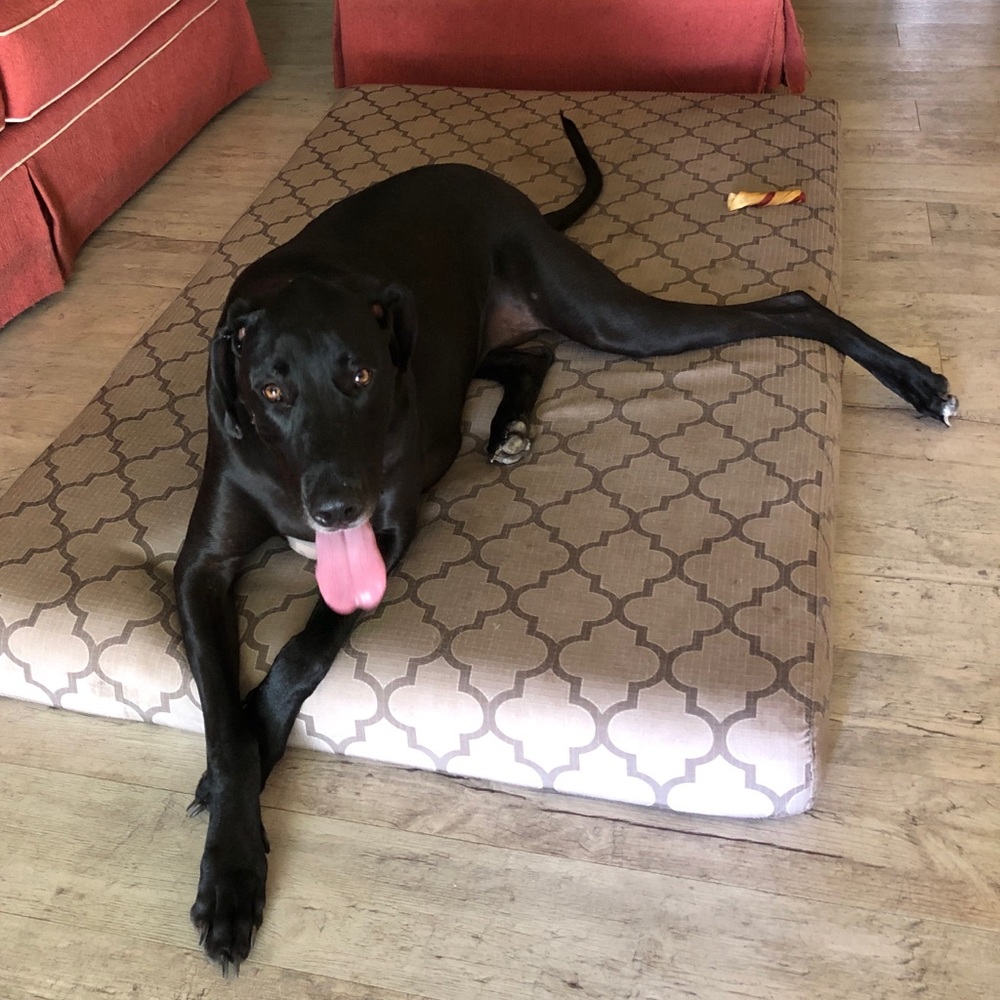 Meet your Posher, Victoria